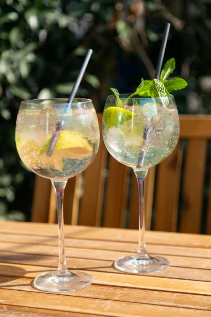 Two gin and tonics with citrus and mint on a wooden garden table